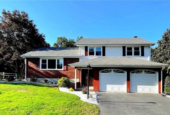A two-story suburban house with a double garage and well-maintained lawn.